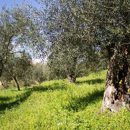 Noradia And Ginfred Corfu Villa