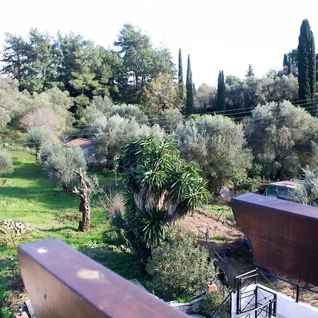 Noradia And Ginfred Corfu