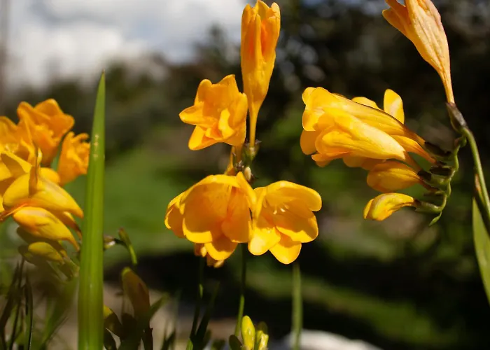 Noradia And Ginfred Corfu * Achílleion