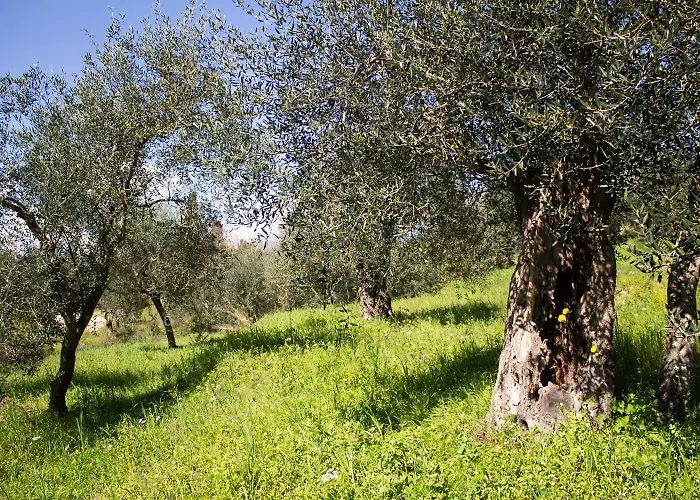 Noradia And Ginfred Corfu Βίλα