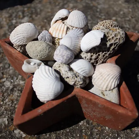 Noradia And Ginfred Corfu Villa