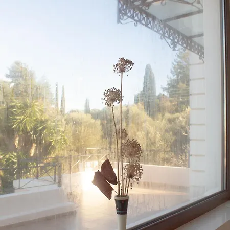 Villa Noradia And Ginfred Corfu Ahílio